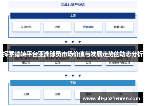 探索德转平台亚洲球员市场价值与发展走势的动态分析