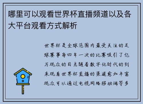 哪里可以观看世界杯直播频道以及各大平台观看方式解析